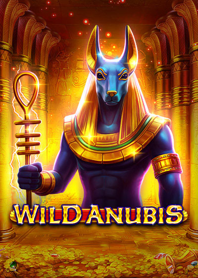 Wild Anubis