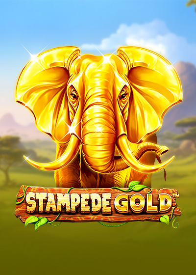 Stampede Gold