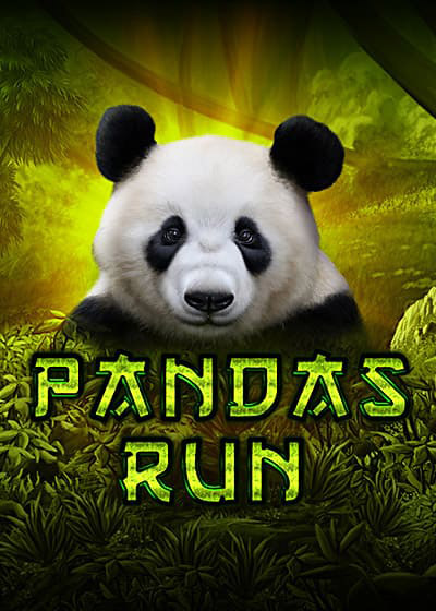 Pandas Run